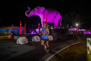 BIB: 
                            <button type="button" onclick="openModal(26552098)" class="btn btn-primary btn-sm float-right btn-popup" data-toggle="modal" data-target=".modal-high-quality">
                        <i class="fas fa-shopping-cart"></i> Add to Cart
                    </button>
                                            <button type="button" onclick="isThisMe(26552098, true)" class="btn btn-success btn-sm float-right btn-popup btn-isme hidden" data-toggle="tooltip" data-placement="bottom" title="นี่คือรูปของคุณใช่ไหม คลิกที่นี่เพื่อเอาเข้าอัลบั้ม">
                        <i class="fas fa-plus"></i> Add to album
                    </button>
                    <button type="button" onclick="isThisMe(26552098, false)" class="btn btn-warning btn-sm float-right btn-popup btn-isnotme hidden">
                        <i class="fas fa-ban"></i> Remove from album
                    </button>